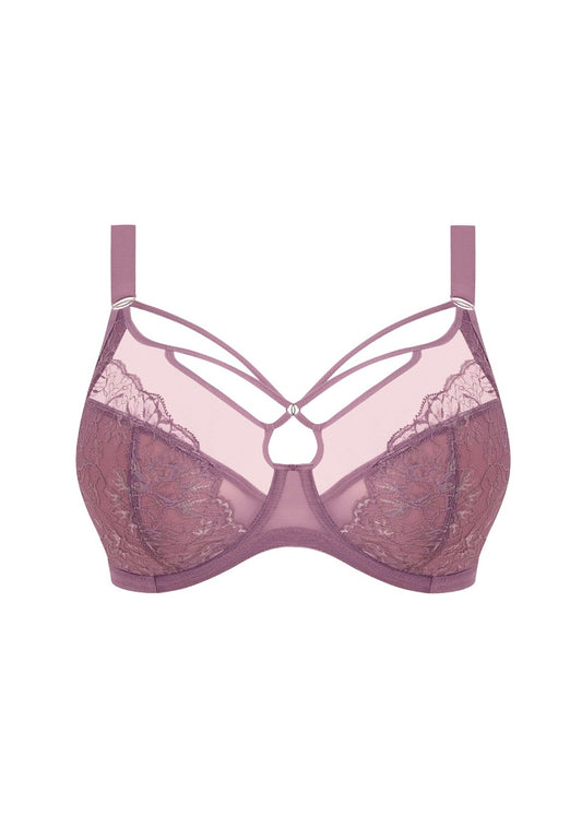 Brianna Underwire Plunge