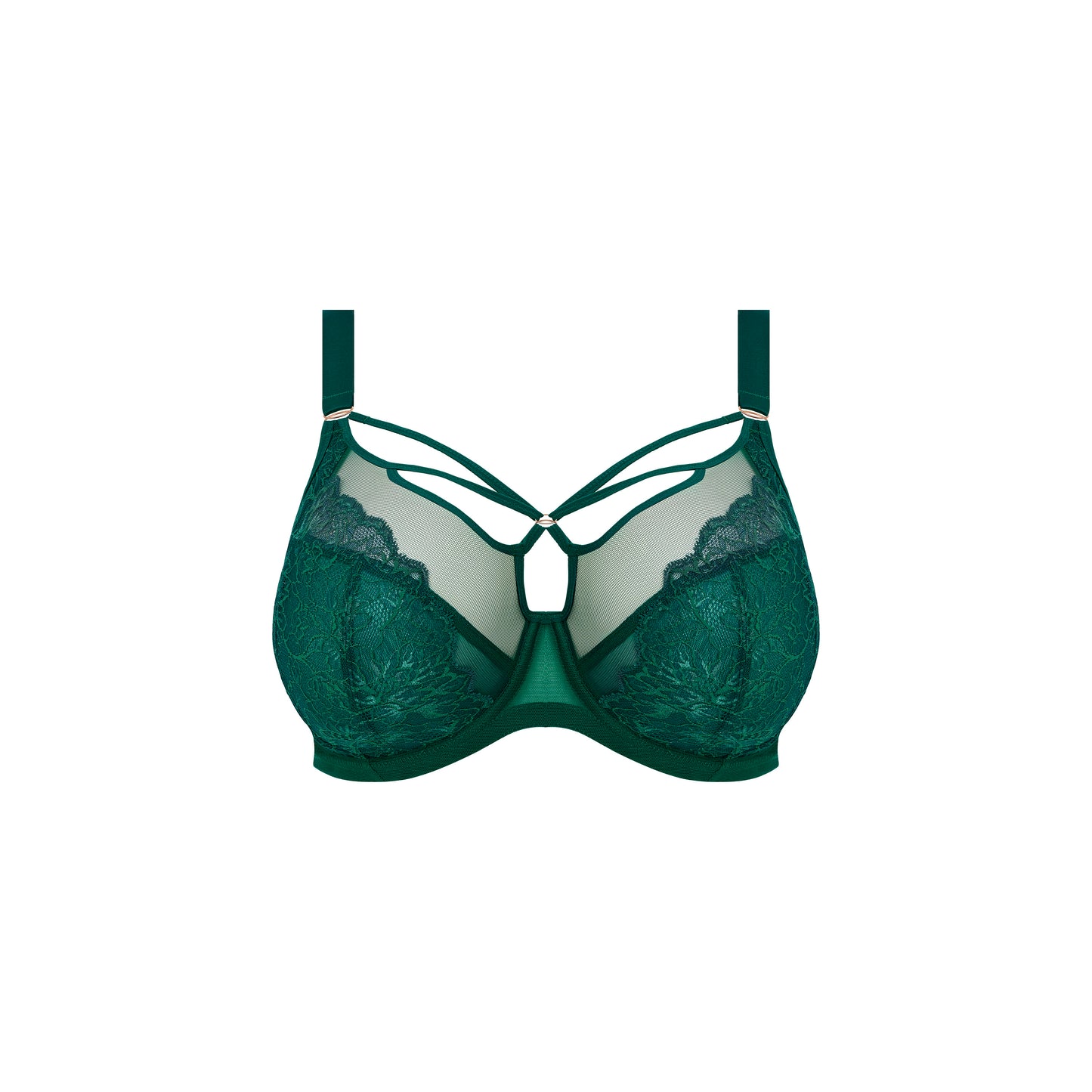 Elomi Brianna Plunge Bra - Rainforest
