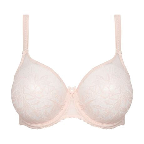 Divine Seamless Non-Padded - Venus